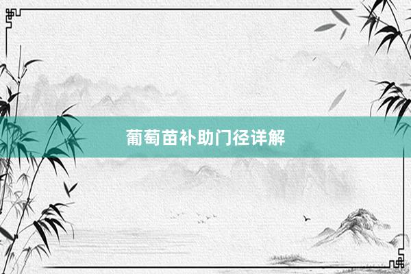 葡萄苗补助门径详解
